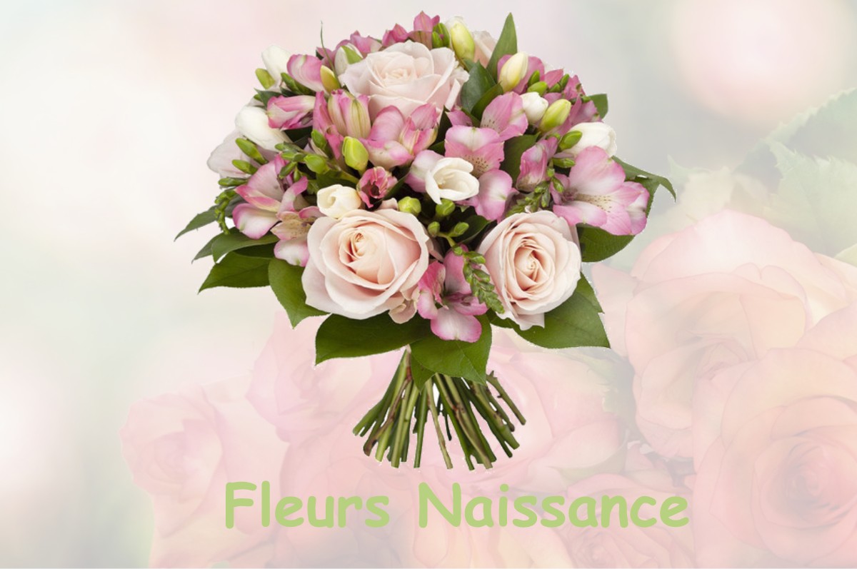 fleurs naissance CHATEAUNEUF-DE-GALAURE