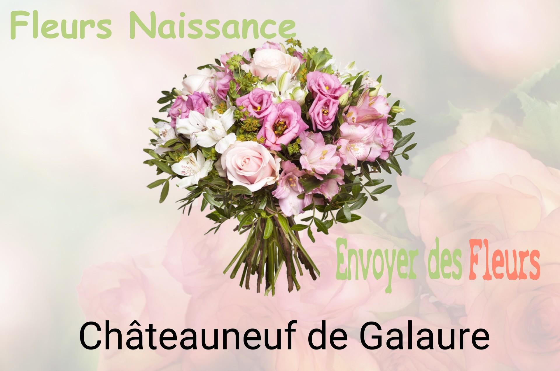 Bouquet de fleurs de naissance livré à Châteauneuf-de-Galaure