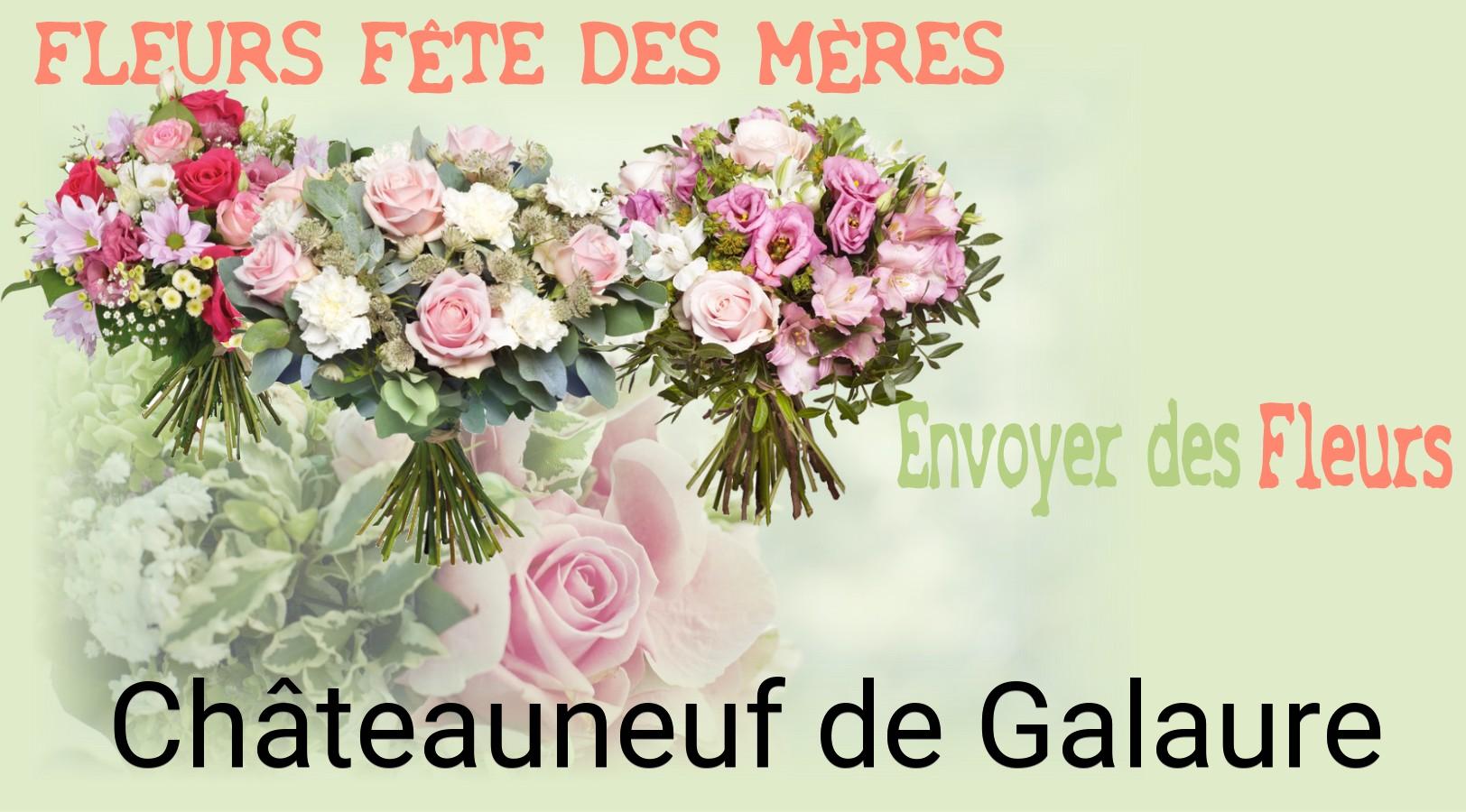 Bouquet de Fête des Mères livré à Châteauneuf-de-Galaure